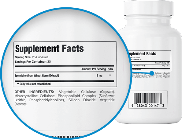 Spermidine Dosage