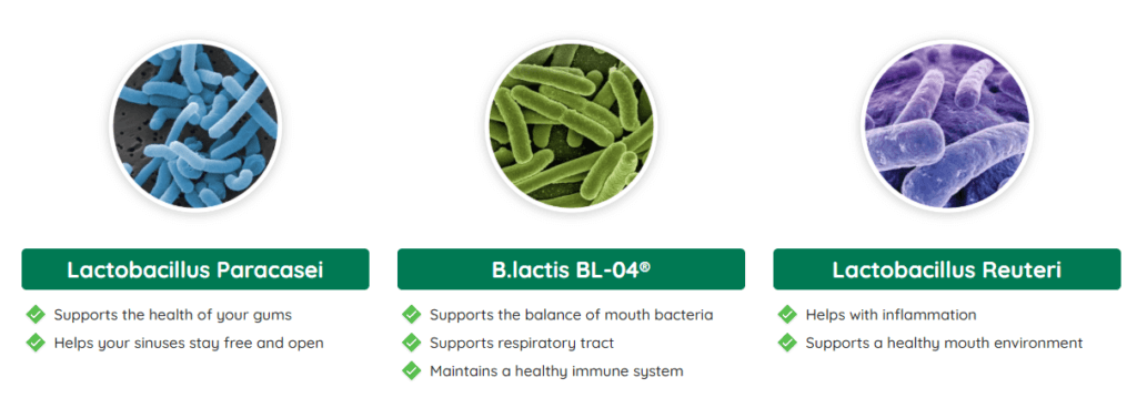 ProDentim Ingredients